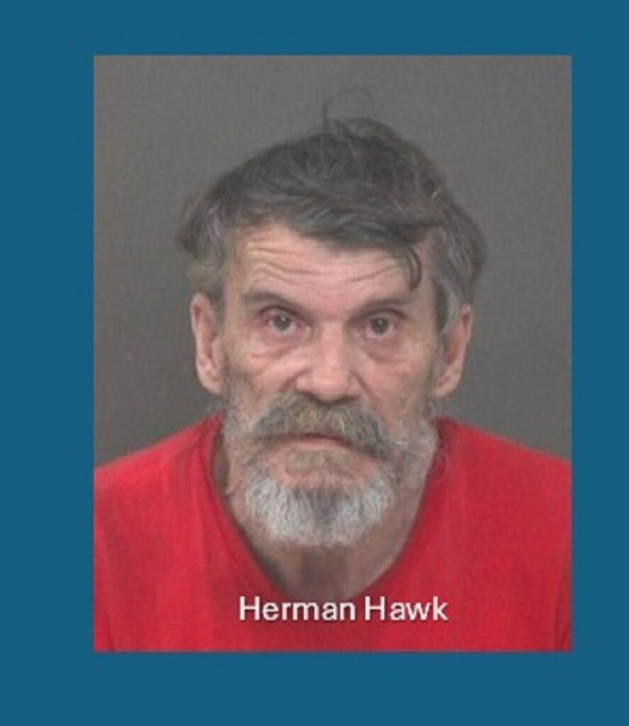 Hawk