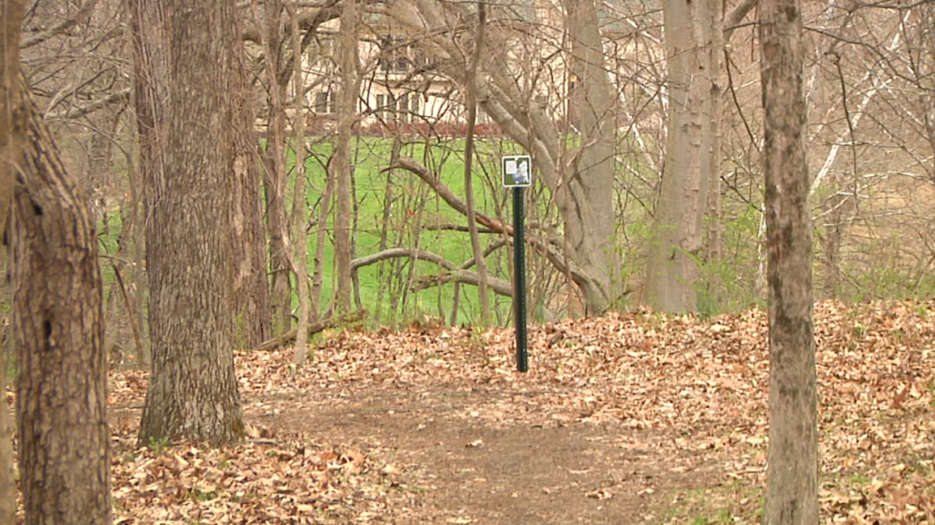 Capture Trail