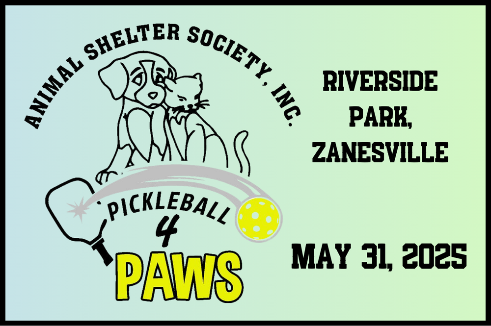Pickleballwebsitegraphic