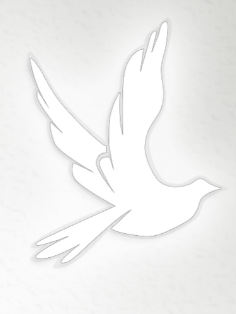 Dove