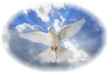 Dove1