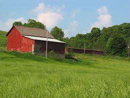 Barn In Field