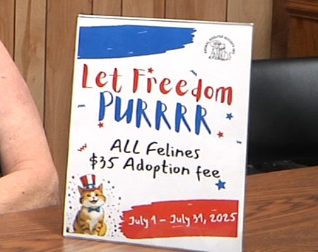 Let Freedom Purrrr