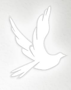 Obit Jg