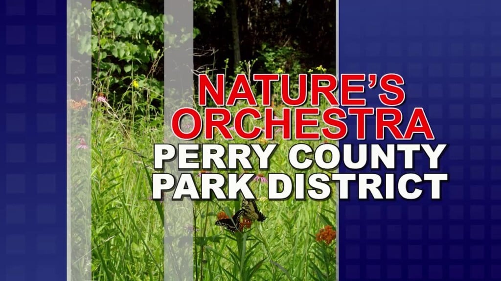 Perry County Parks District: Singing Insects