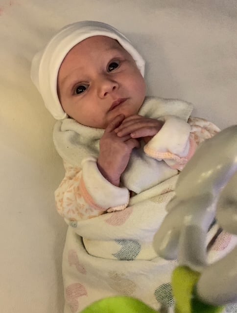 Rosie Lee Johnson 