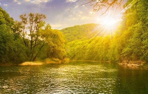 Fvwd Sunshine River
