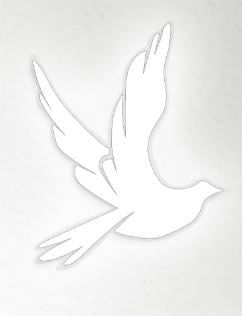 Dove