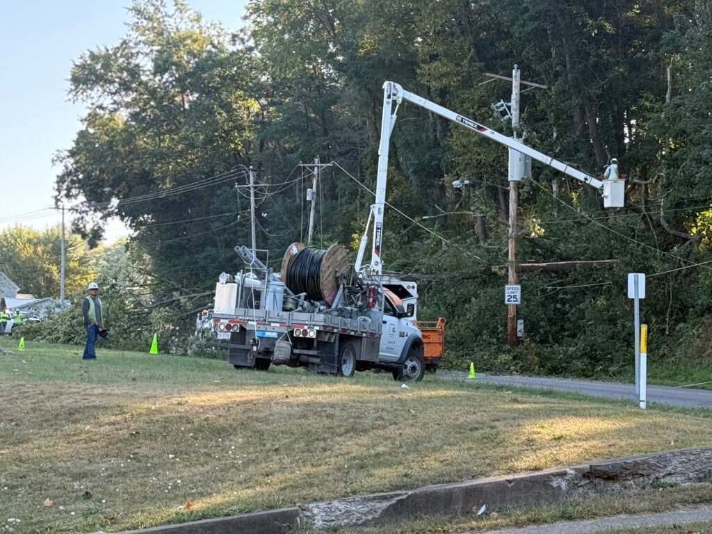 Tree Down