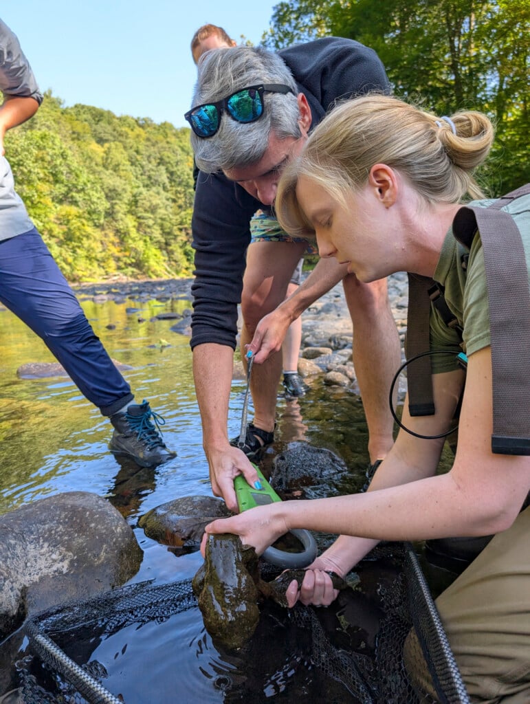 Hellbender Egg Search Wilds 20250910 150400209