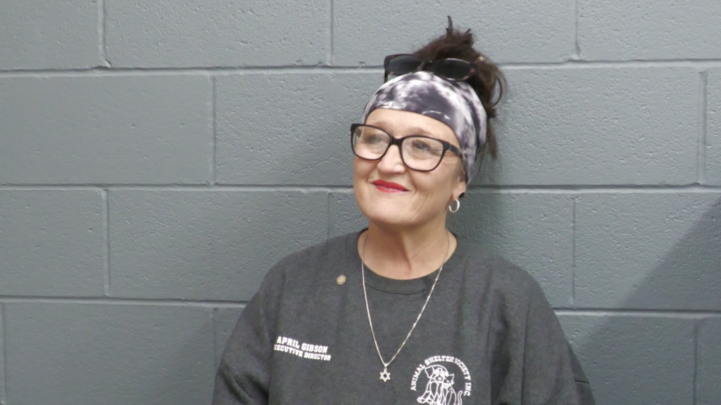 April Gibson, executive director of the Animal Shelter Society, shares tips to keep pets happy and safe this holiday season.