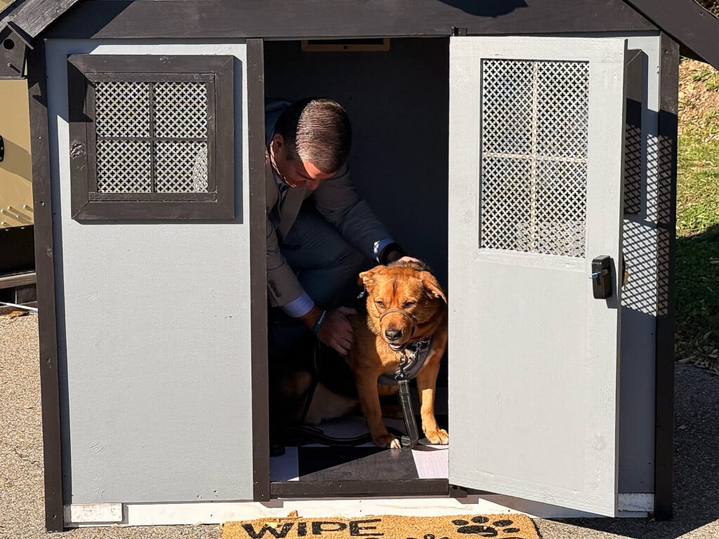 06248bf8 Bd90 43a7 9a51 B0dde92fbd22