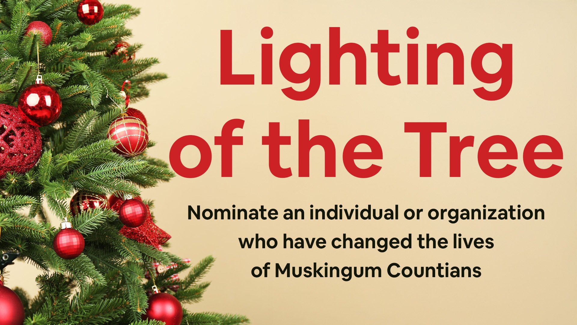 Lighting Of The Tree 2025