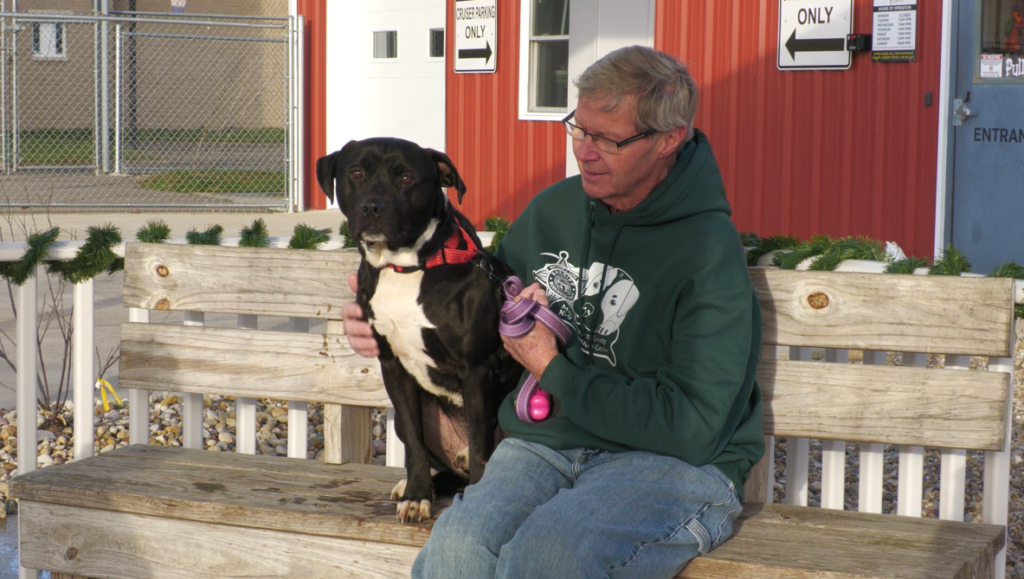 Meet Denver! He's our dog of the week.