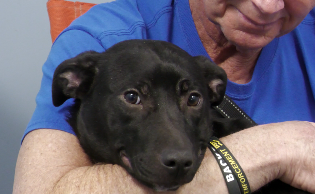 Screenshot 2026 01 28 133054