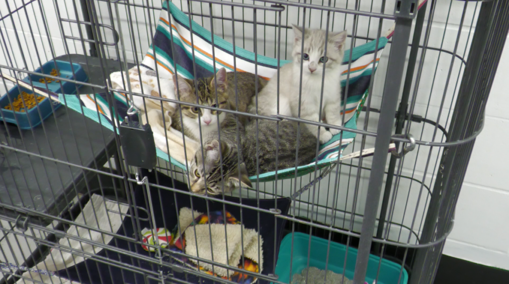 Screenshot 2026 01 22 145816