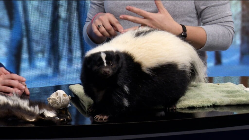 Perry Co. Park Heartbreaker