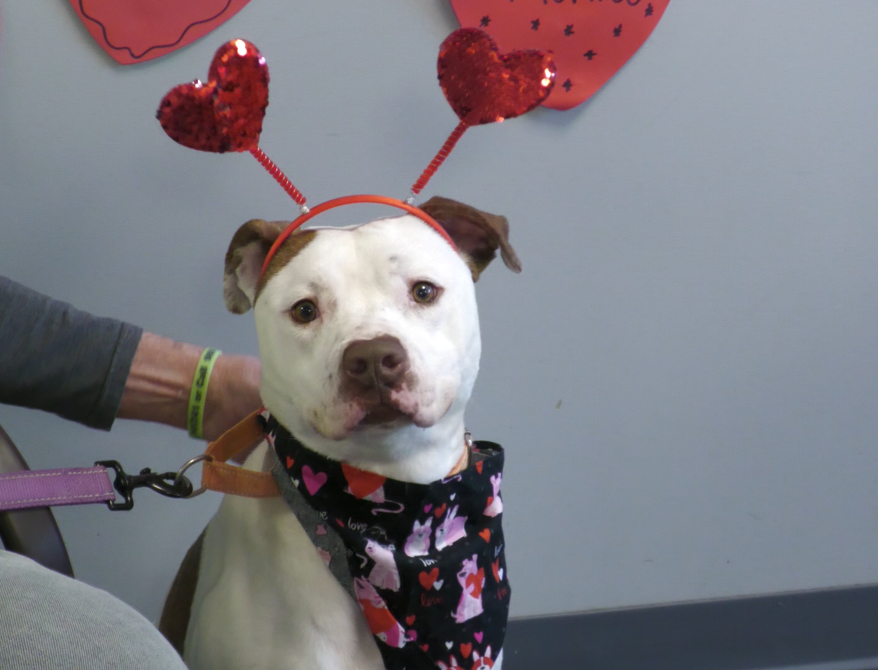 Screenshot 2026 01 20 163359