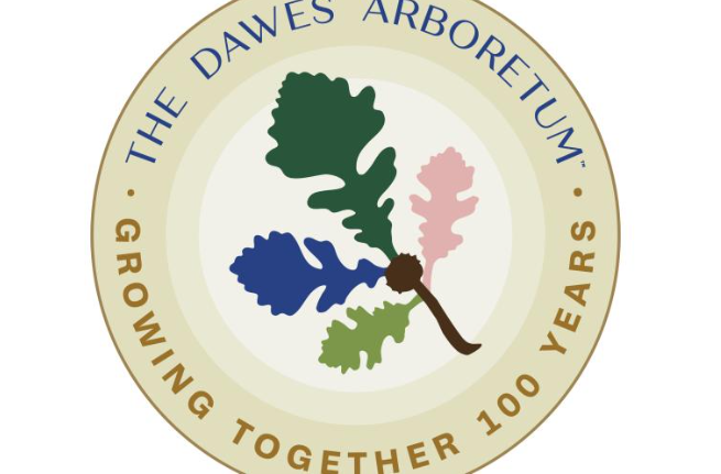 Screenshot 2026 02 19 113721