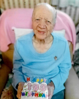 Nellie Screenshot 2026 03 09 120400