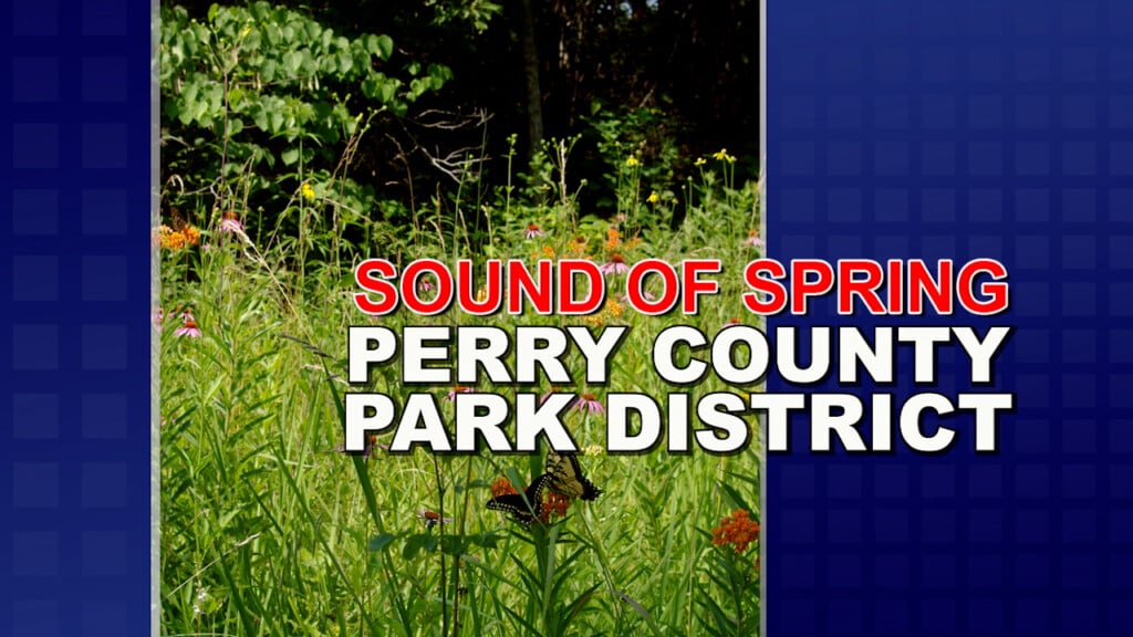 Perry Parkmov00 00 05 29still001