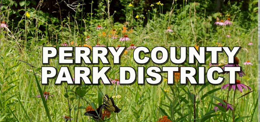 Screenshot 2026 03 18 215507