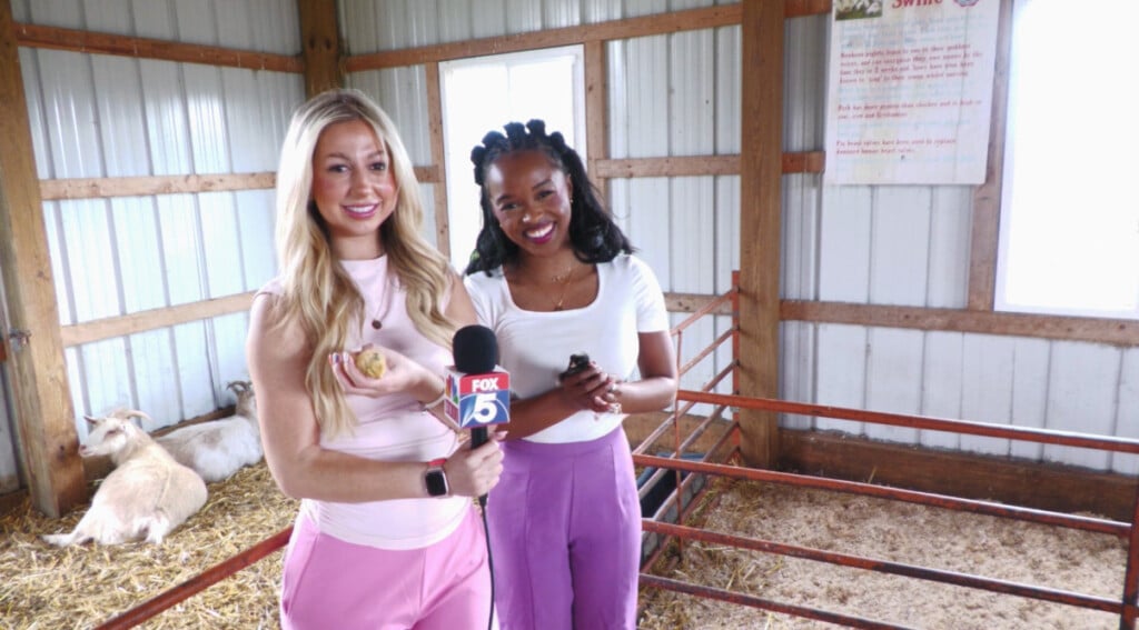 D18ac897 5ccf 4dc8 9eb8 Cd24e8632ca6