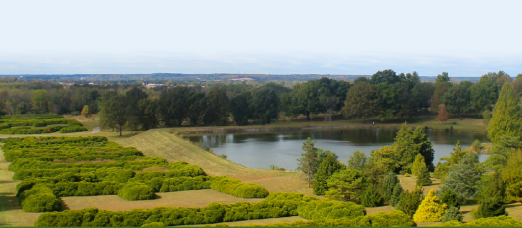 Screenshot 2026 04 17 134057