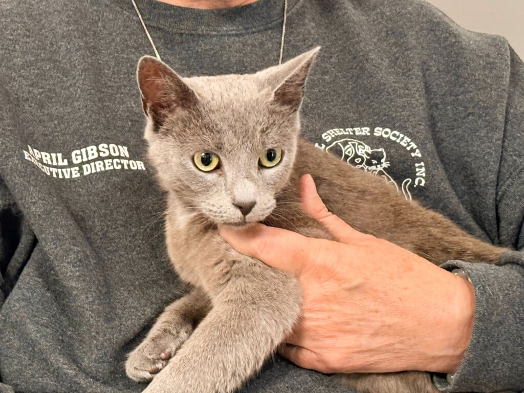 0aec8109 973c 4fd0 Ba9b 7721365dc1bb