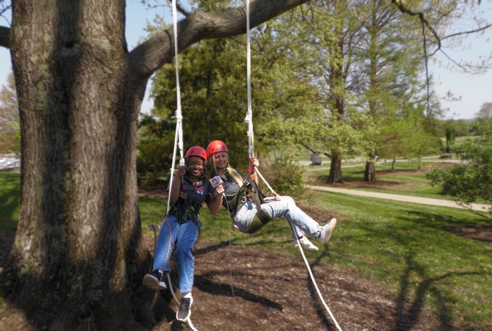 A84190b0 1c3d 4254 86a2 D6567dd2670e