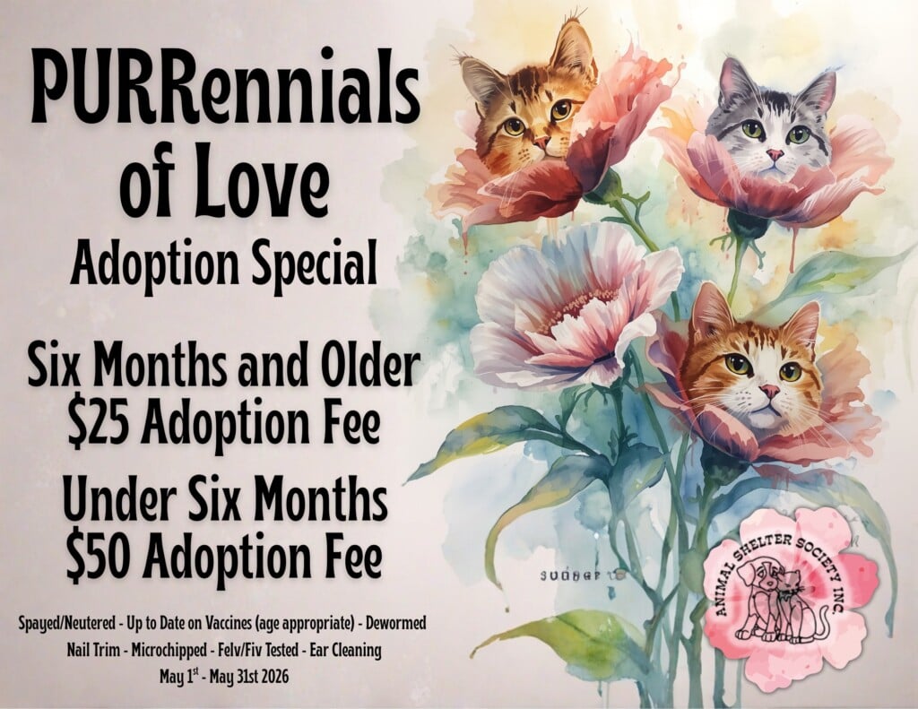 Purrenials Of Love Adoption Special