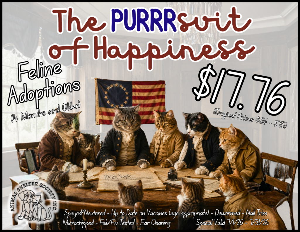 The Purrrsuit Of Happiness Adoption Special