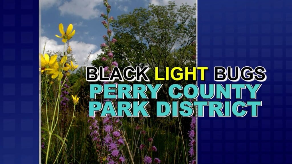 Perry Co. Park Black Light Bugs