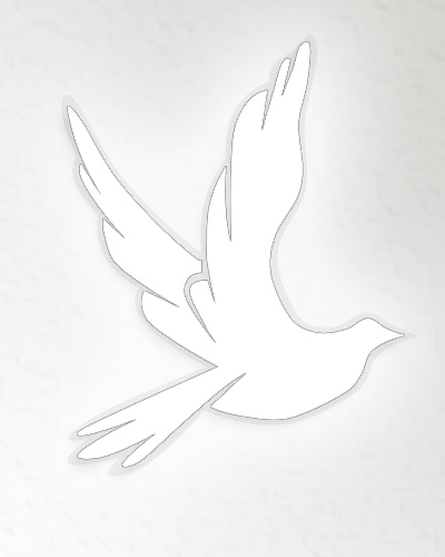 Stockdove V21