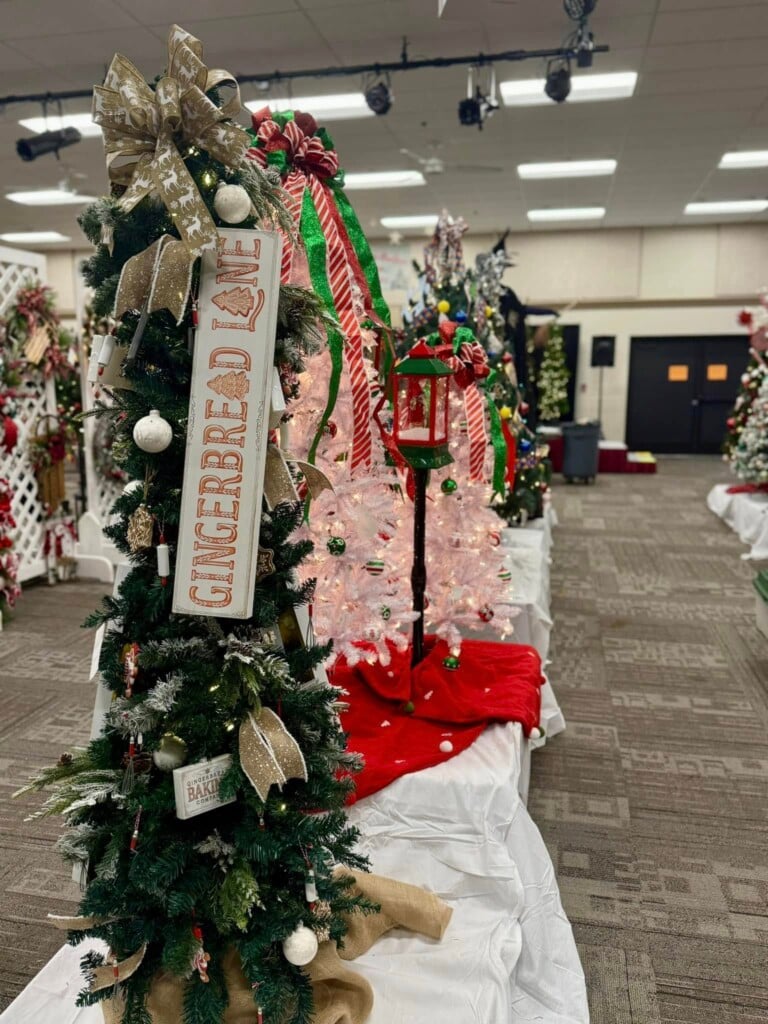 Fest Of Trees