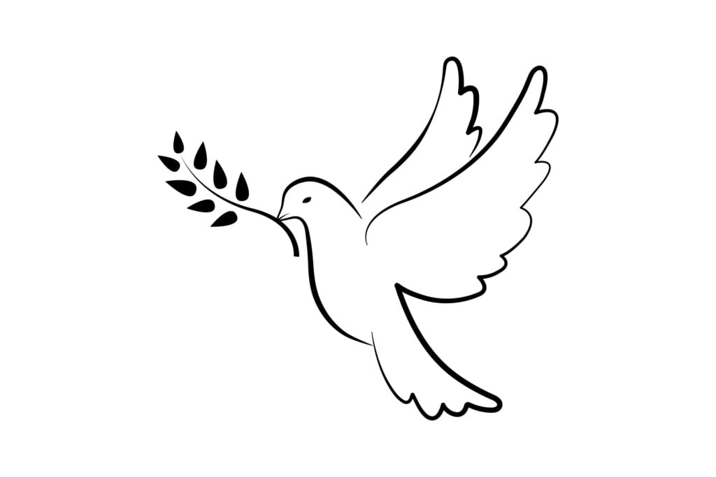 White Dove